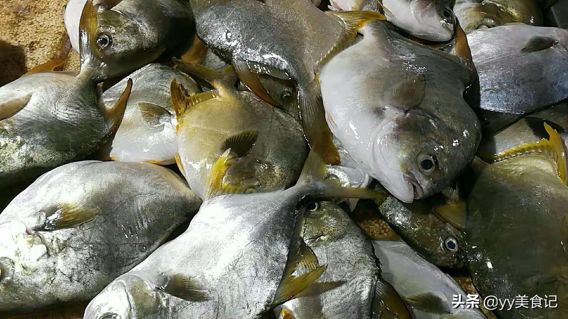 探索最前沿科技与生活融合之美的旺呗最新动态