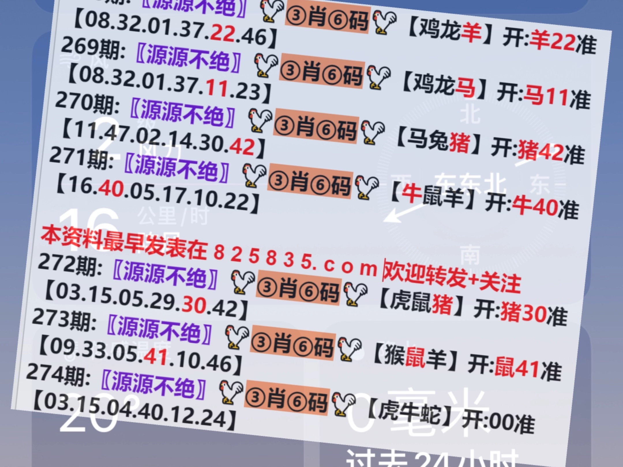 2024澳门天天开好彩精准24码,实证分析详细枕_高效版79.274