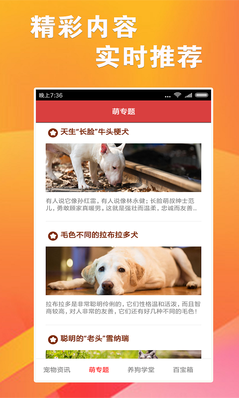 7777788888精准跑狗图,策略规划_冒险版33.446