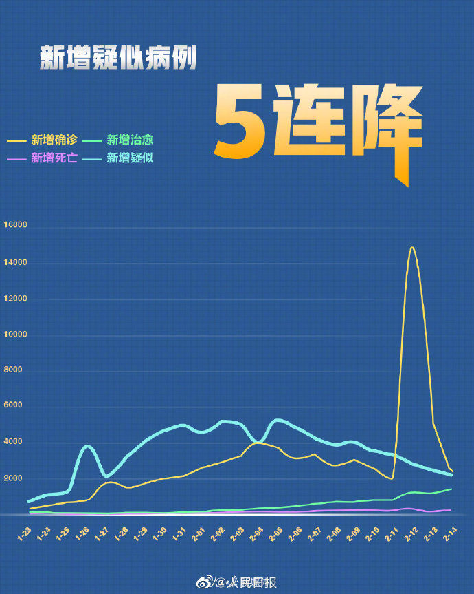 最新肺炎数据及其背后的故事，小巷中的疗愈之地揭秘