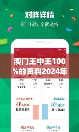 2024新澳门王中王正版,实地观察数据设计_目击版8.833