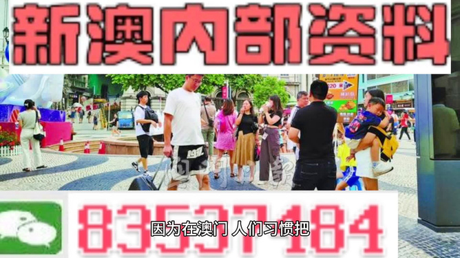 2024新澳门正版免费资料,专业地调查详解_明亮版56.562