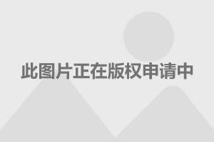 香港今晚开特马+开奖结果66期,稳固执行战略分析_优雅版67.994
