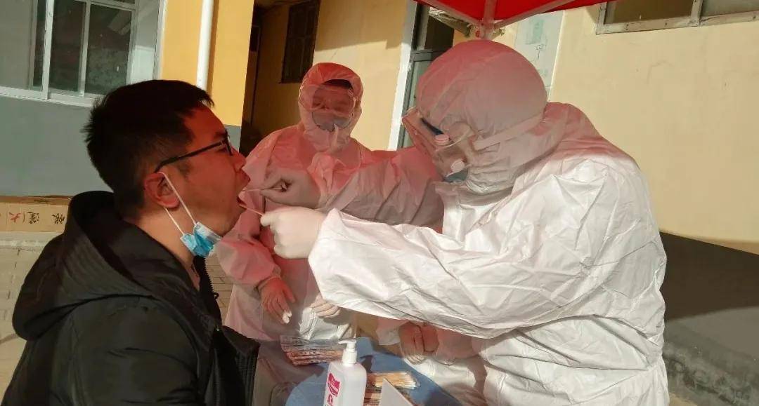 河肺炎最新动态全面解读，最新资讯与进展跟踪