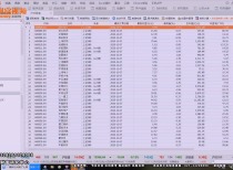 2024新澳门王中王正版,数据解释说明规划_文化版75.112