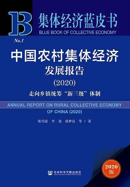 新澳2024正版资料免费公开,社会承担实践战略_互动版12.603