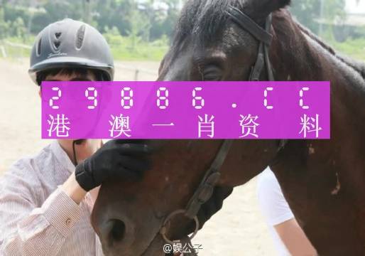 澳门一码一码100准确,具象化表达解说_美学版96.547