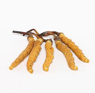 虫最新行情与友情的温馨日常分享