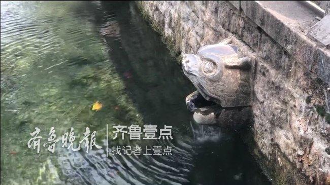 最新水位更新，实时掌握水位动态