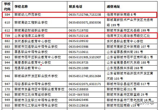 2024新澳门王中王正版,策略调整改进_调整版87.124