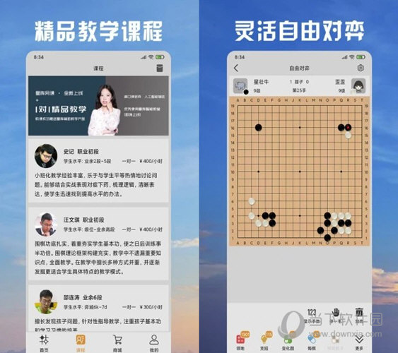 新澳天天彩免费资料大全查询,实地观察解释定义_先锋版77.803