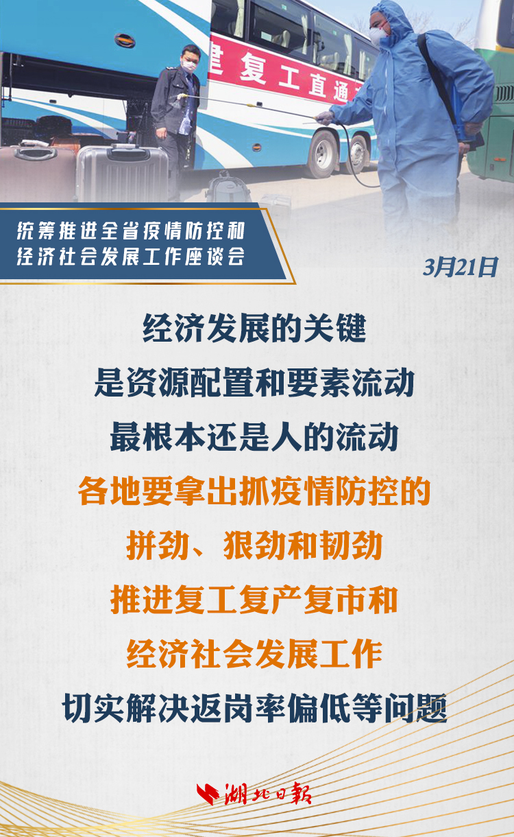 新澳精准资料免费提供510期,社会责任法案实施_别致版48.523