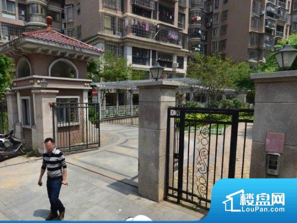 新村晶的最新成长之旅,学习、变化与自信的蜕变之路