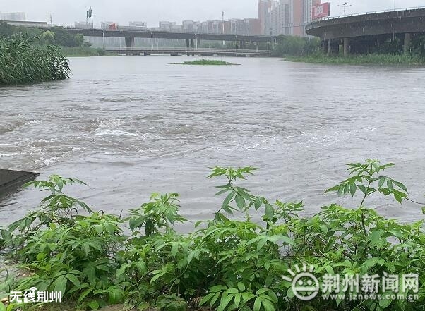 云南汛情下的独特风情与宝藏小巷小店探索