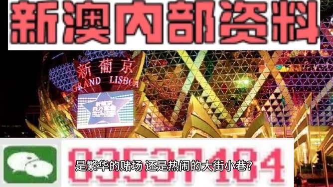 2024新澳最精准免费资料,