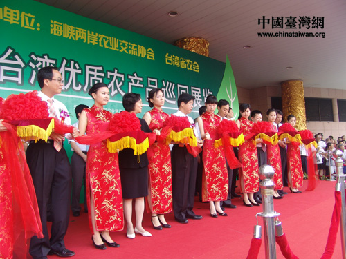 台湾陈星最新动态,成长蜕变,励志照亮未来之路