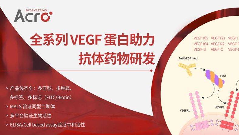 最新投资动态揭秘，掌握未来财富增长的关键！