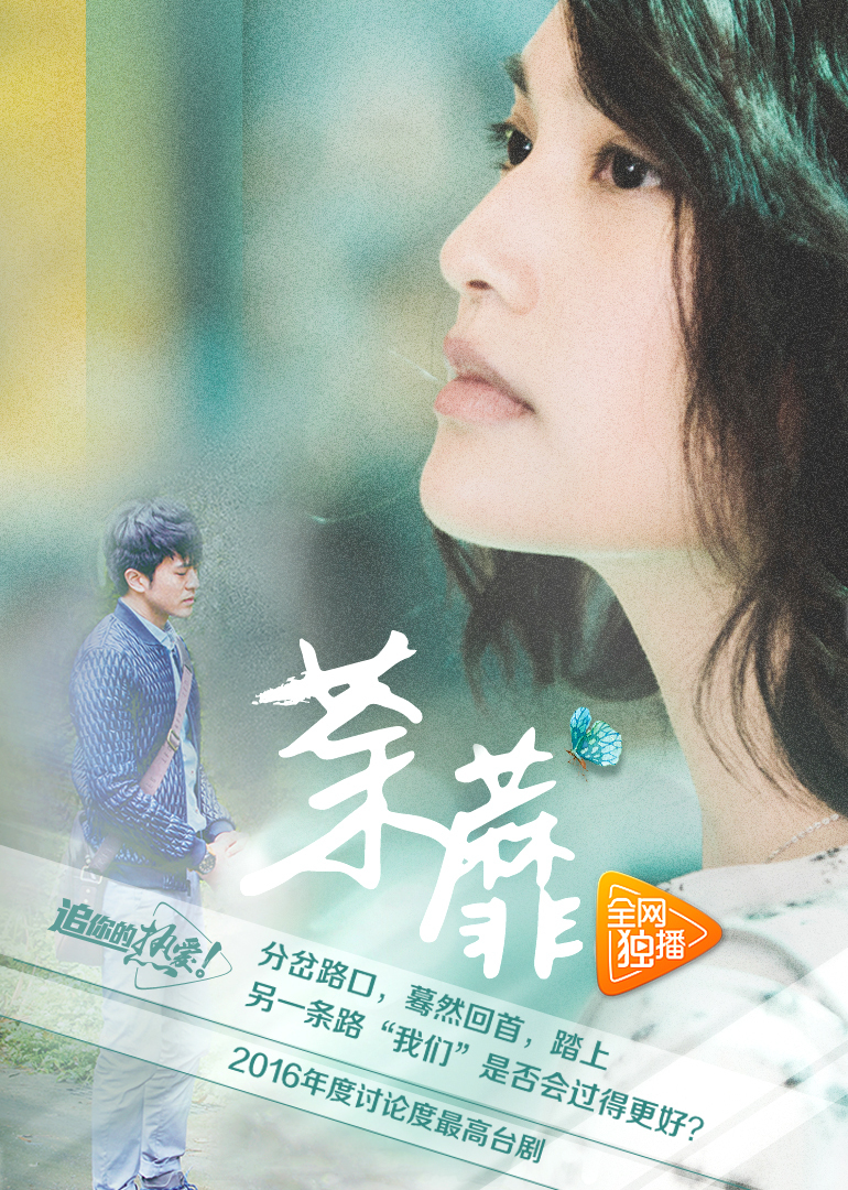 荼蘼电影演员阵容,璀璨星辰的闪耀舞台