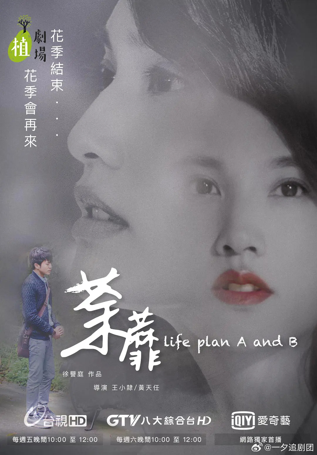 荼蘼电影演员阵容,璀璨星辰的闪耀舞台