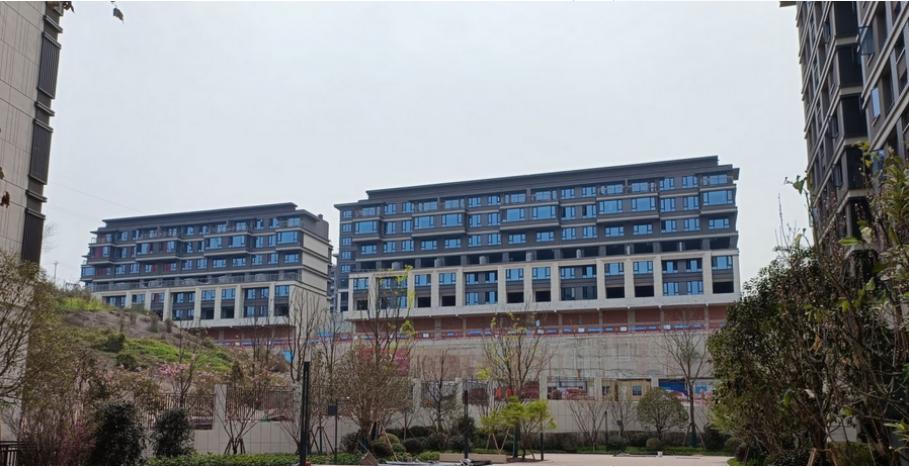 弹子石CBD最新动态揭秘,全面了解与参与步骤指南