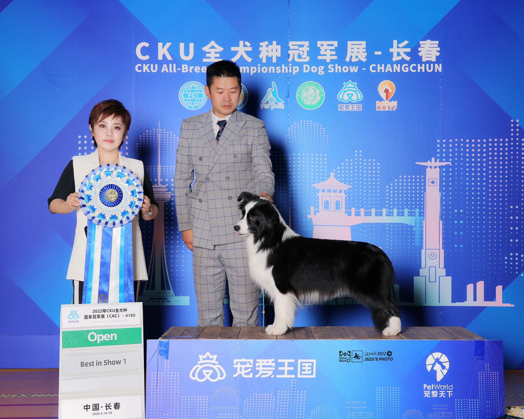 CKU比赛专用高科技产品亮相,感受竞技新纪元,体验未来科技的魅力