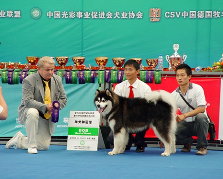 CKU比赛专用高科技产品亮相,感受竞技新纪元,体验未来科技的魅力