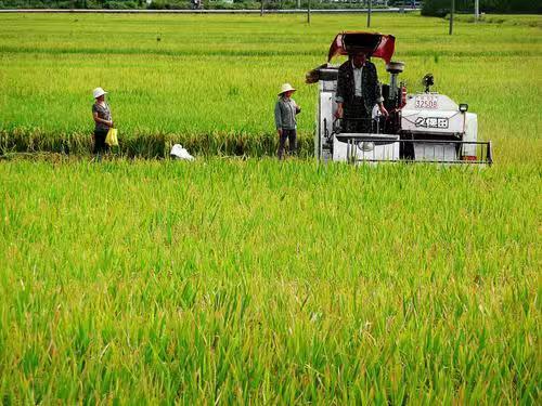 绍兴上市公司数量变化,数字见证成长,励志成就未来之梦
