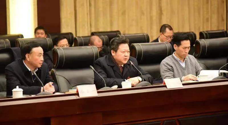 李安泽最新动态，全方位解读其观点与影响力