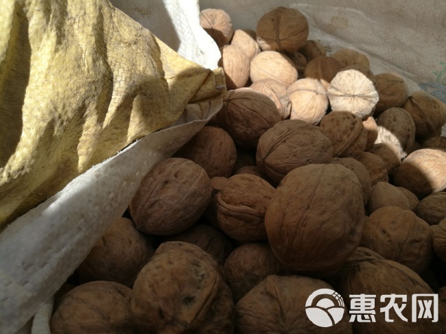 新疆核桃上市时节揭秘，飘香四溢的宝藏核桃与小巷秘密探寻