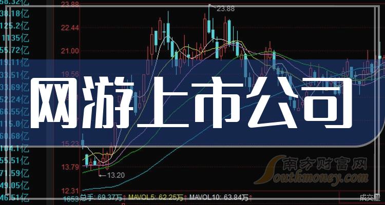 上市网络公司的成功之路,策略、挑战与前景展望