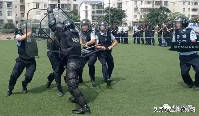 屏山县城隐藏宝藏职位大揭秘,最新招聘职位探寻之旅