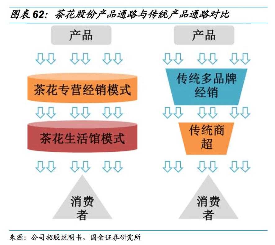 茶花股份股票的投资潜力与前景展望🌸