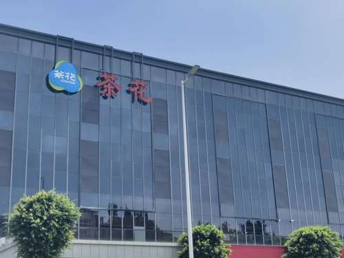 茶花股份股票的投资潜力与前景展望🌸