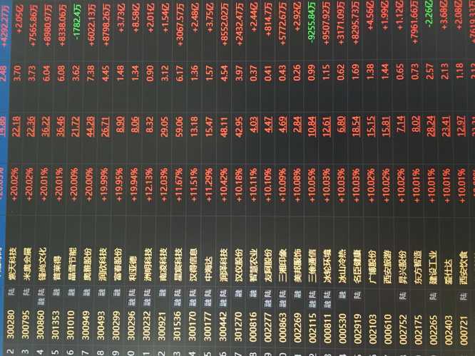 600808股票背后的故事,心灵之旅与自然美景的探索