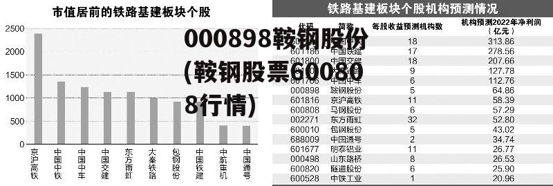 600808股票背后的故事,心灵之旅与自然美景的探索