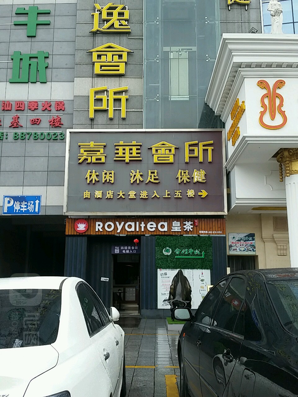 司机会所最新地址详解，初学者与进阶用户的步骤指南