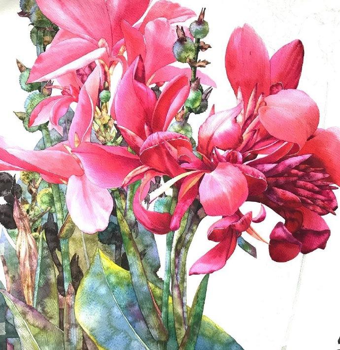 今日关注最新一期内容速递,热点聚焦与最新动态