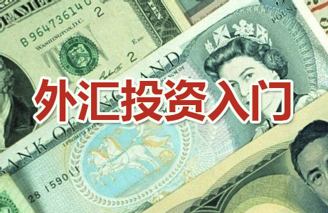 最新外汇监管,最新外汇监管下的温馨外汇故事