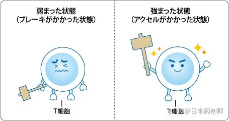 最新免疫疗法,最新免疫疗法，一场前沿的医学观点之争
