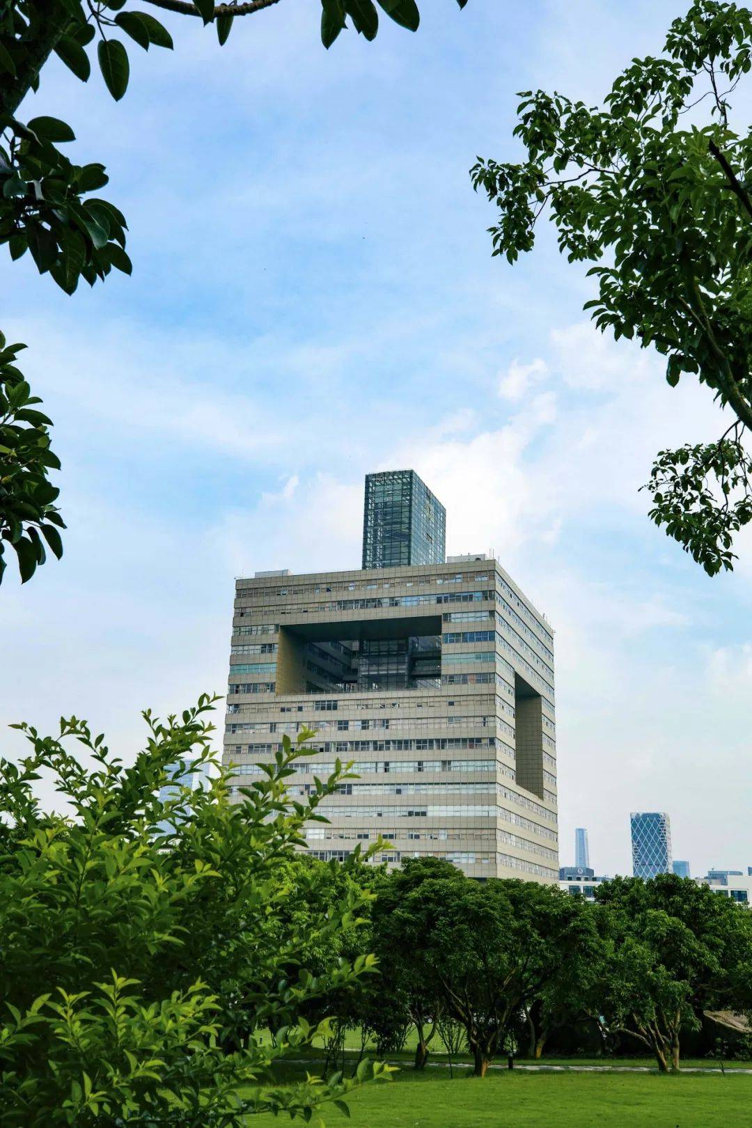 深大最新发展多维度观点论述,深度探讨学校发展之路