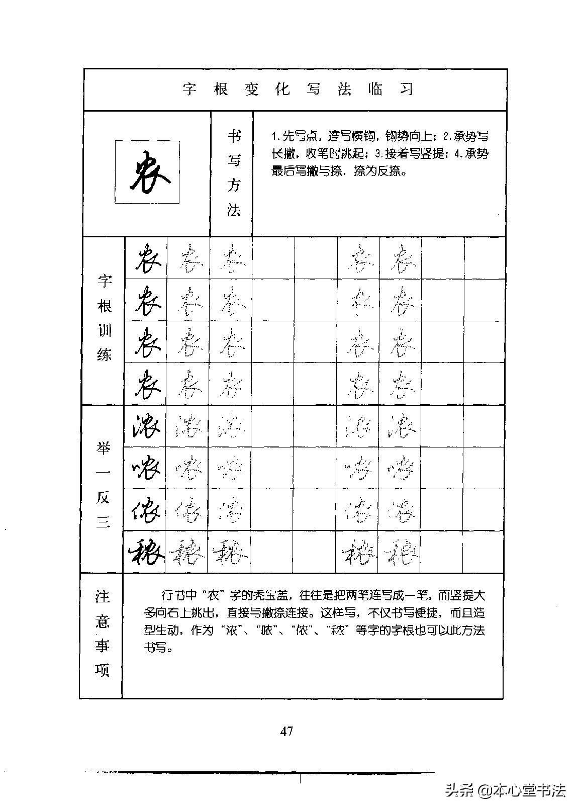 最新版字根揭秘，探索文字的奥秘之旅