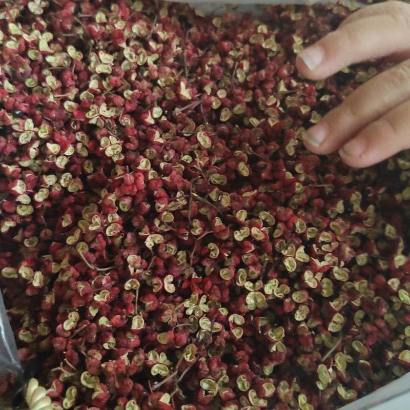 花椒最新版，全新体验引领潮流！