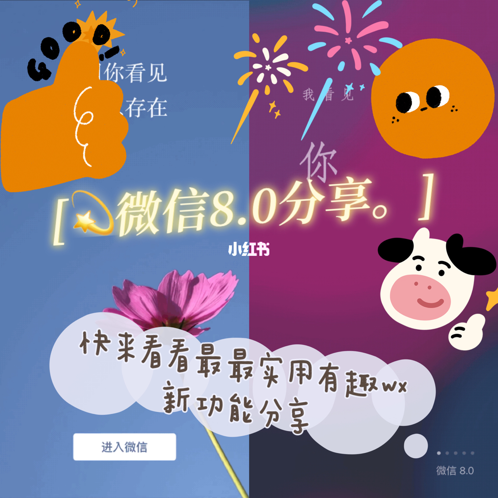 最新微信分享，探索与众不同的精彩世界