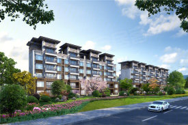 陕西洋县房价最新动态,梦想与现实交融,购房指南准备就绪!