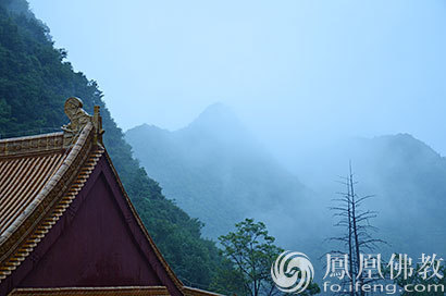 凤凰一日禅最新探讨与启示