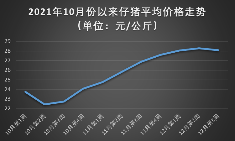 今日仔猪价格最新动态，最新猪价更新！
