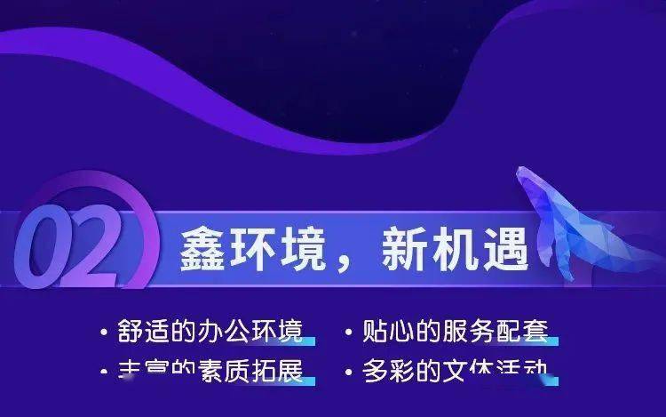 南京今日最新招聘信息解析与个人立场探讨
