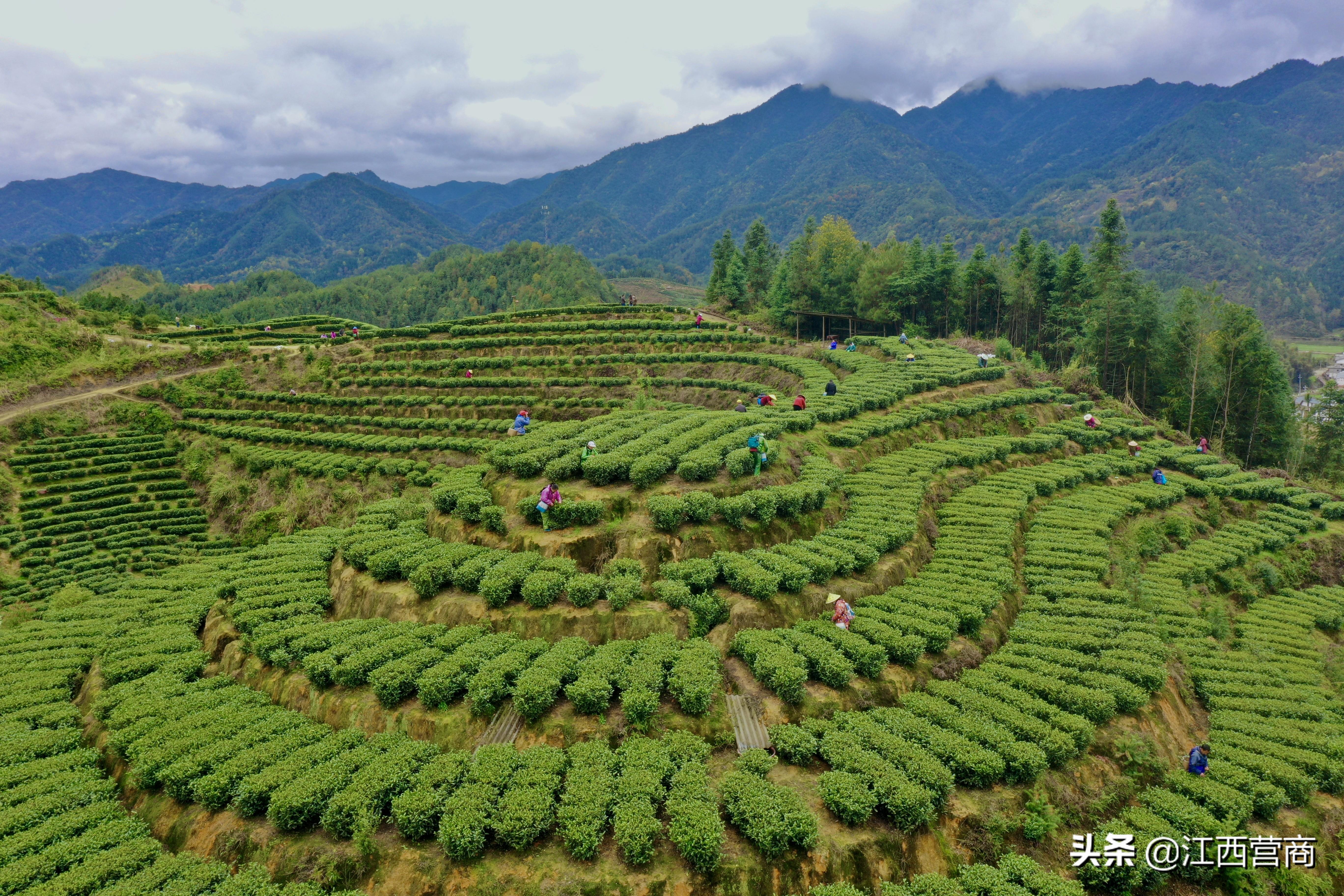 宜丰信息网最新招聘，探寻理想职业之旅启动！