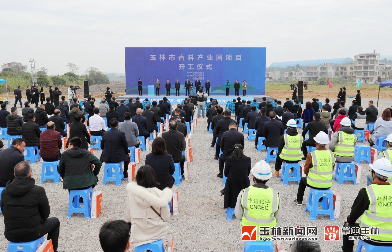 玉林新闻速递，最新消息、小趣事与温馨日常分享