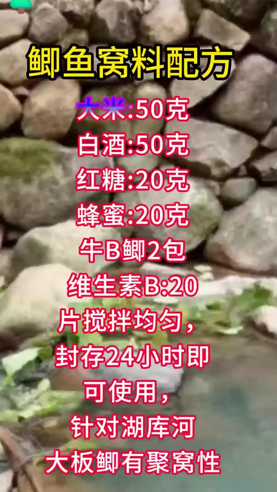 最新钓鱼配方详解与观点分享